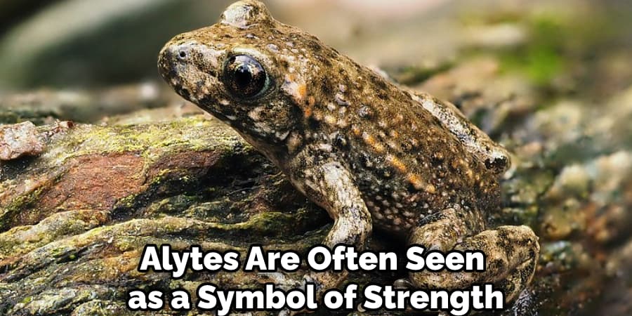 Alytes Are Often Seen as a Symbol of Strength