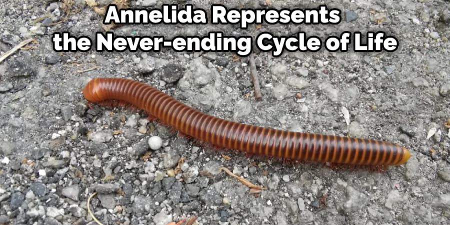 Annelida Represents the Never-ending Cycle of Life