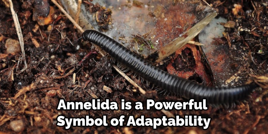 Annelida is a Powerful Symbol of Adaptability