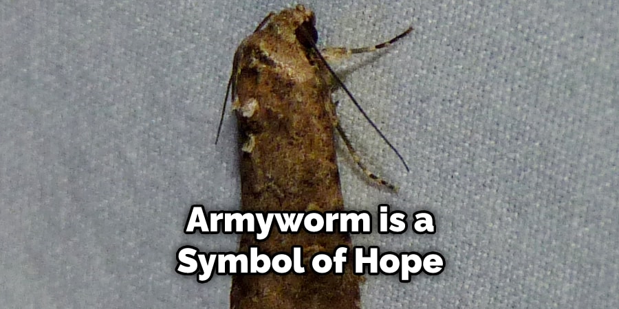 Armyworm is a Symbol of Hope