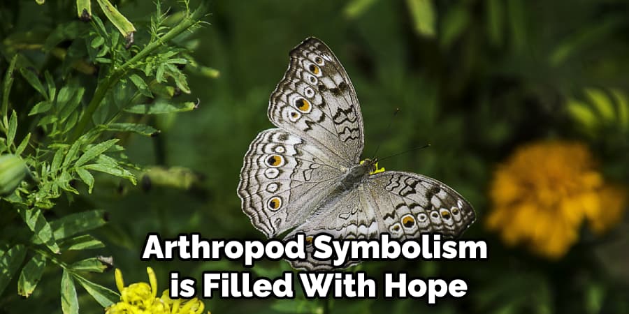 Arthropod Symbolism is Filled With Hope