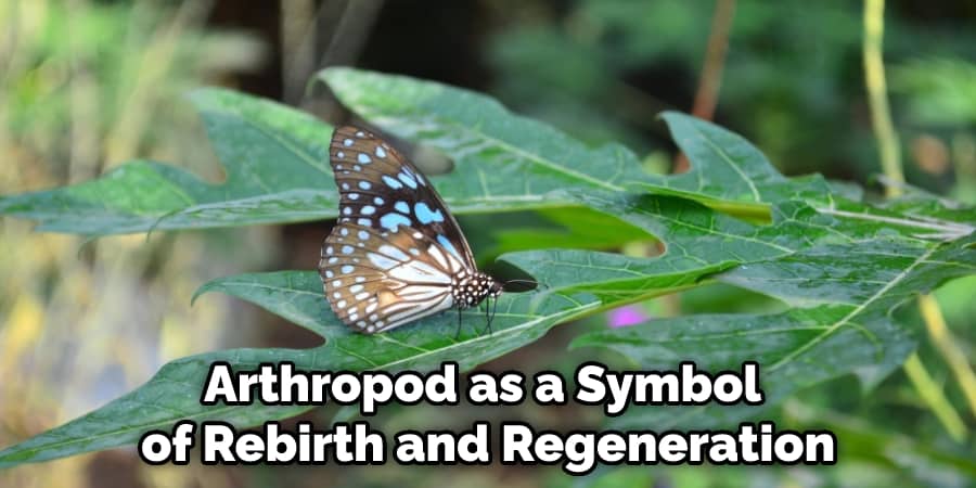 Arthropod as a Symbol of Rebirth and Regeneration