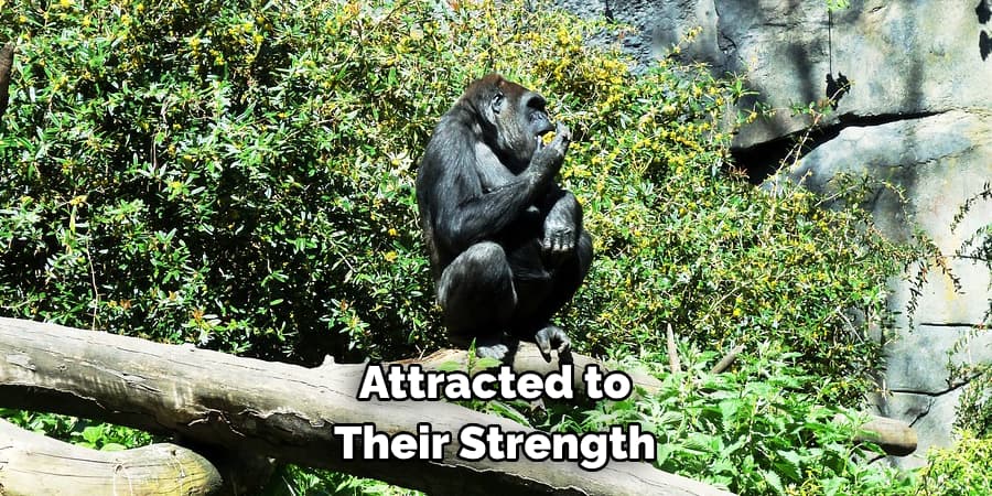 Attracted to Their Strength