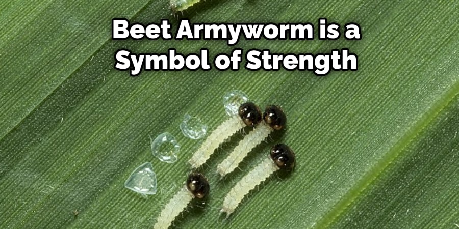 Beet Armyworm is a  Symbol of Strength