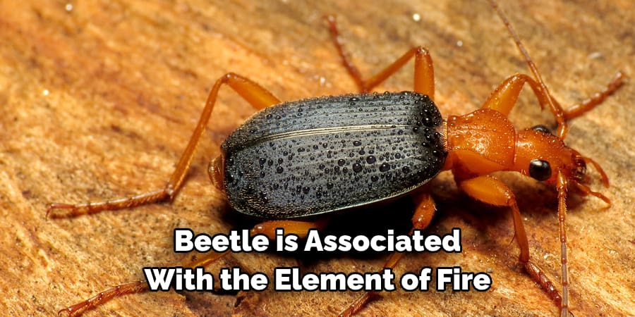 Beetle is Associated  With the Element of Fire