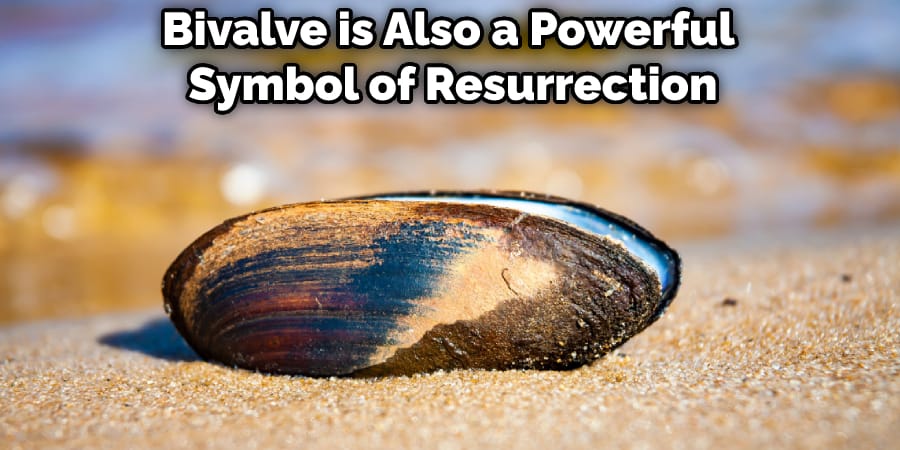 Bivalve is Also a Powerful Symbol of Resurrection