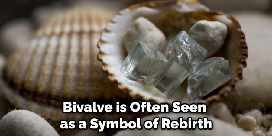 Bivalve is Often Seen as a Symbol of Rebirth