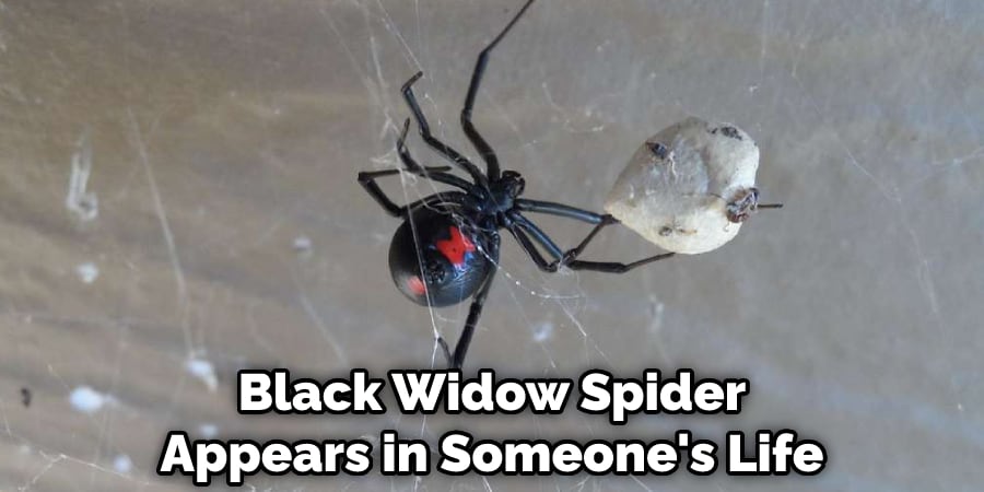 Black Widow Spider Appears in Someone's Life