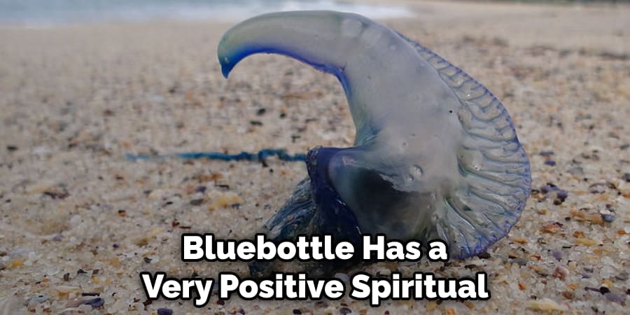 Bluebottle Has a Very Positive Spiritual 