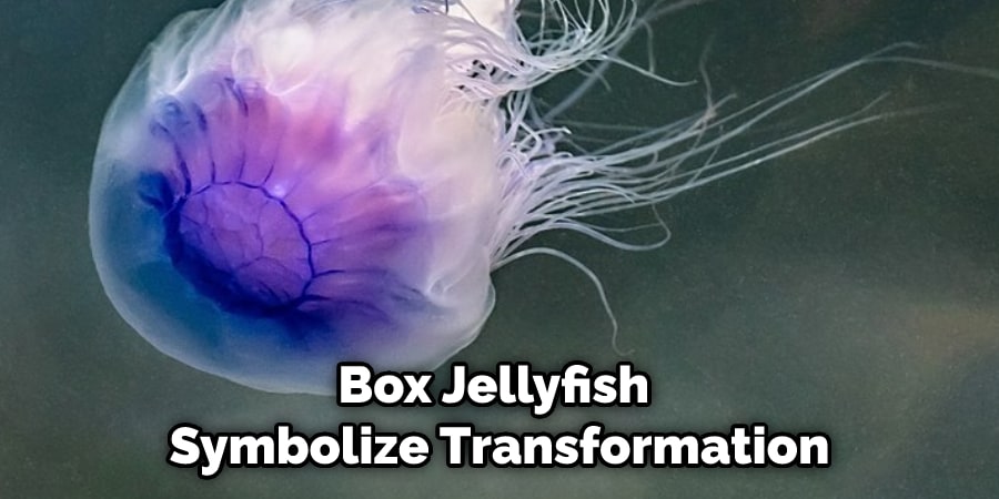 Box Jellyfish Symbolize Transformation