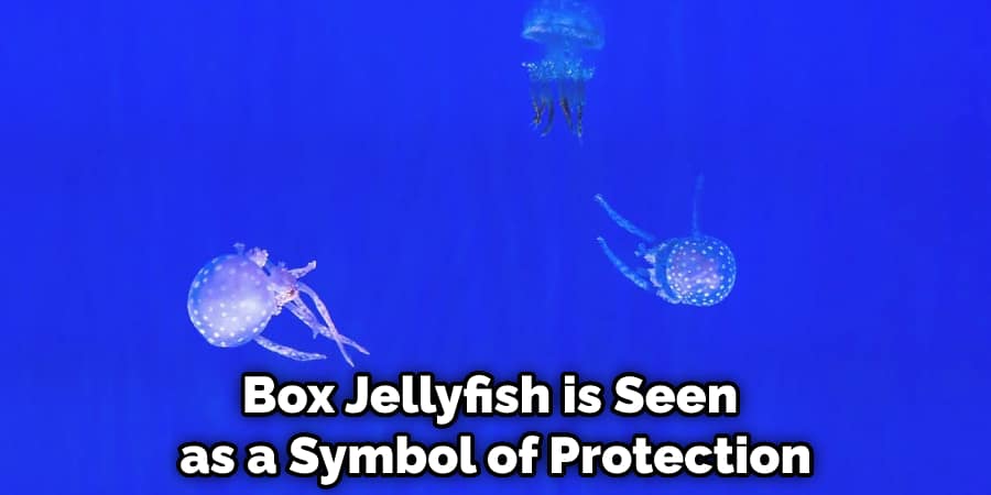 Box Jellyfish is Seen as a Symbol of Protection