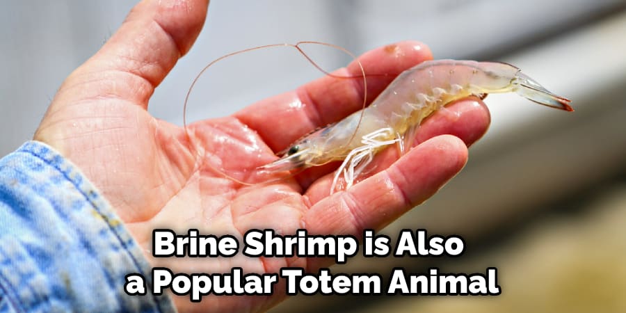 Brine Shrimp is Also a Popular Totem Animal