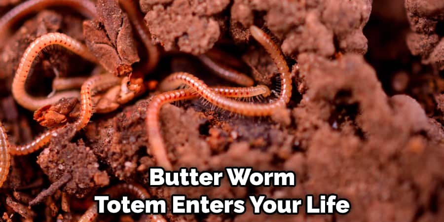Butter Worm Totem Enters Your Life