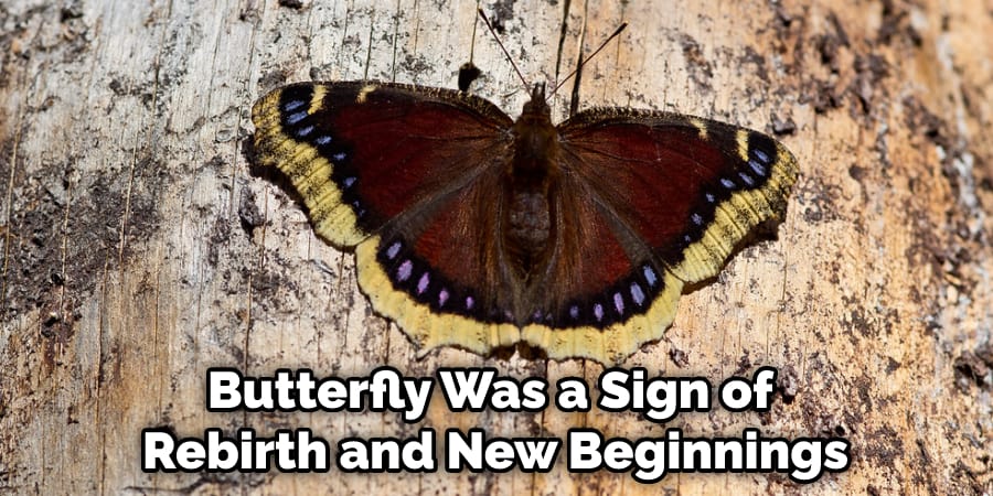 Butterfly Was a Sign of Rebirth and New Beginnings