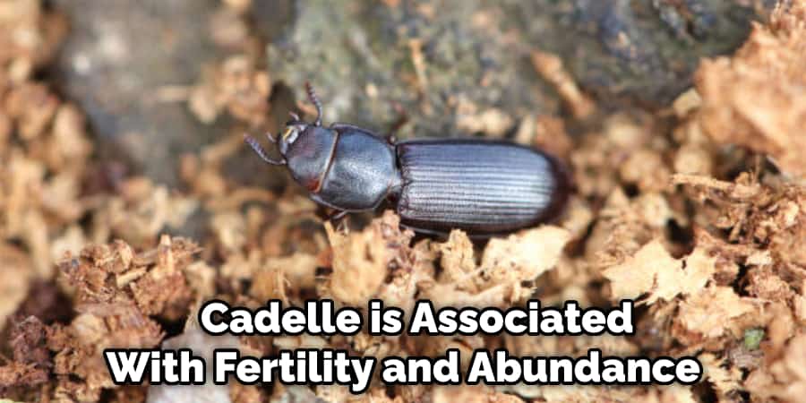 Cadelle is Associated With Fertility and Abundance