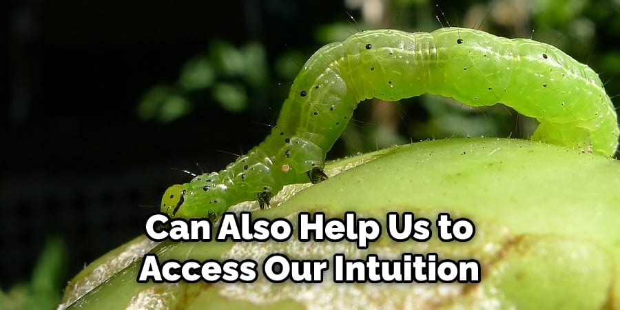 Can Also Help Us to Access Our Intuition