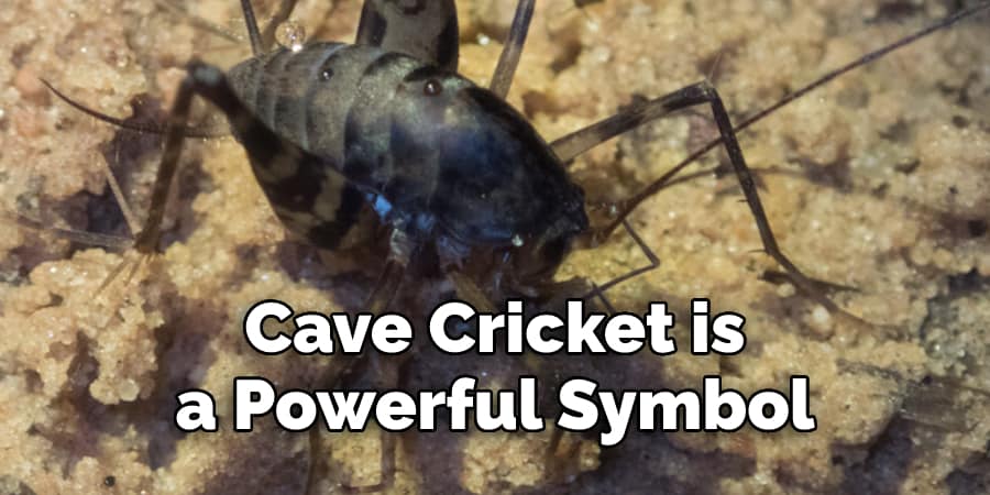 Cave Cricket is  a Powerful Symbol