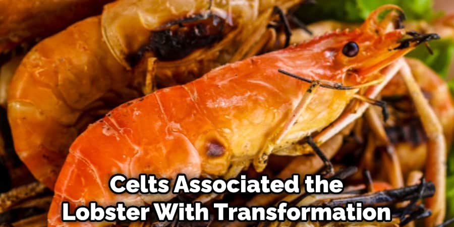 Celts Associated the Lobster With Transformation 