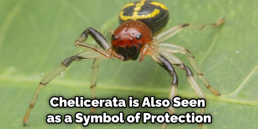 Chelicerata is Also Seen as a Symbol of Protection