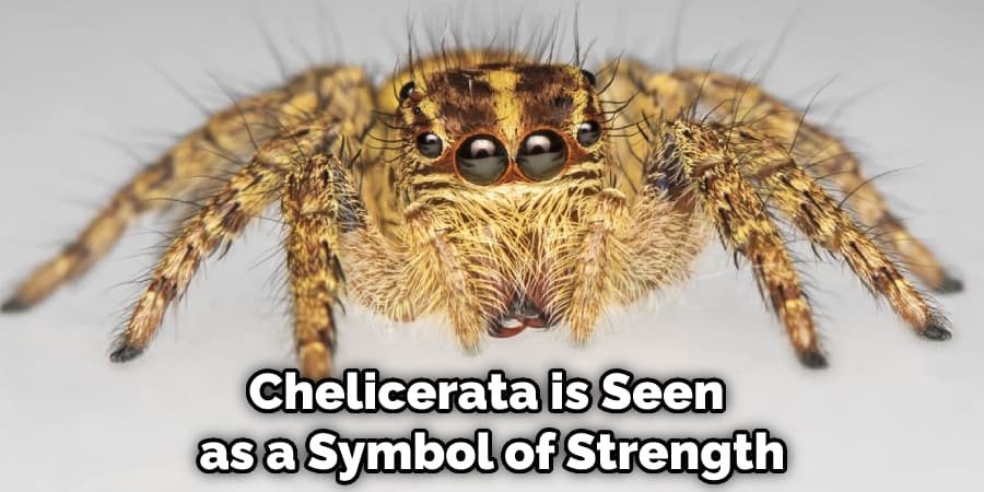 Chelicerata is Seen as a Symbol of Strength