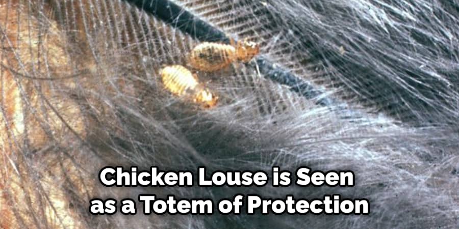 Chicken Louse is Seen as a Totem of Protection