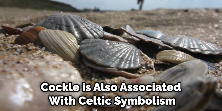 Cockle is Also Associated With Celtic Symbolism
