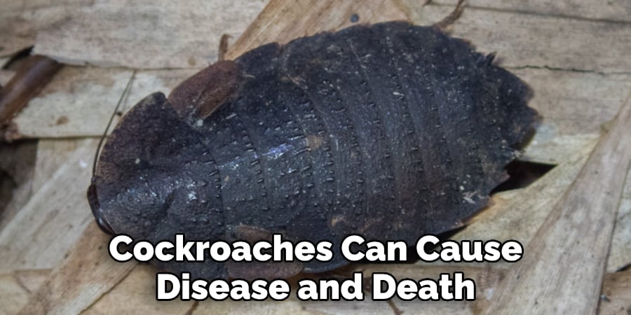 Cockroaches Can Cause Disease and Death