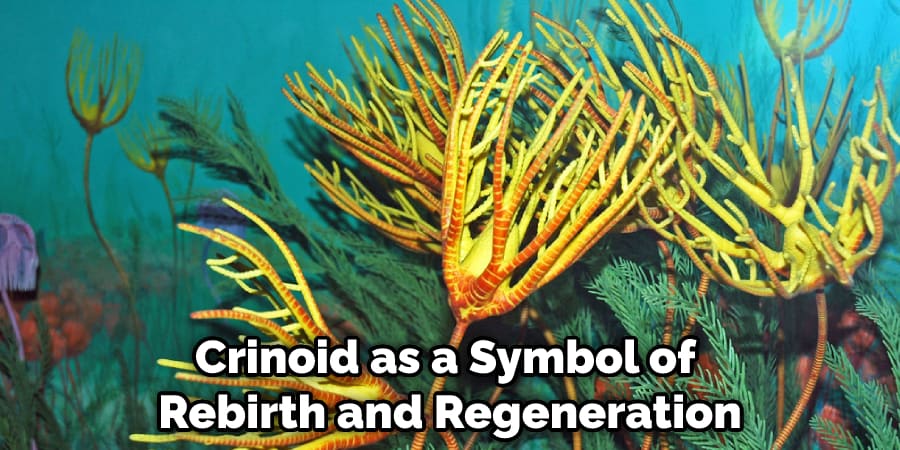 Crinoid as a Symbol of Rebirth and Regeneration
