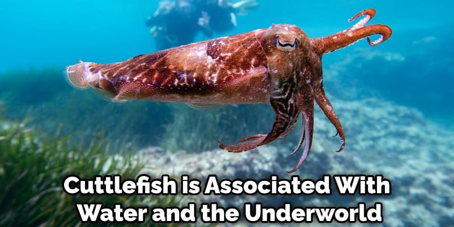 Cuttlefish is Associated With Water and the Underworld