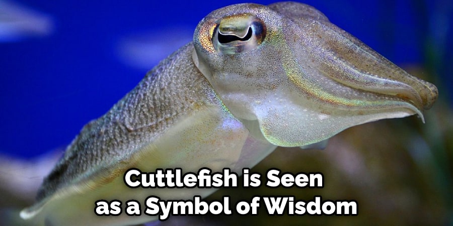Cuttlefish is Seen as a Symbol of Wisdom