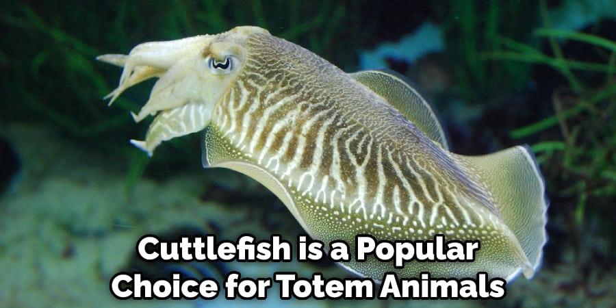 Cuttlefish is a Popular Choice for Totem Animals 
