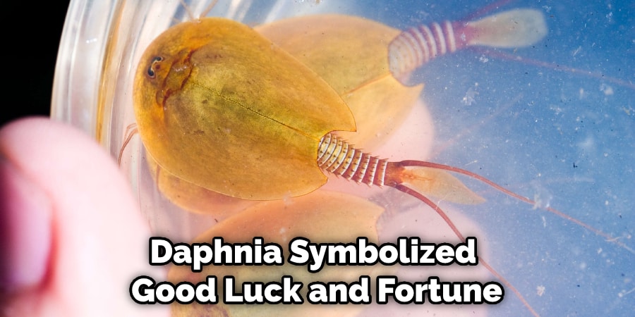 Daphnia Symbolized Good Luck and Fortune