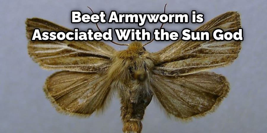 Beet Armyworm is  Associated With the Sun God