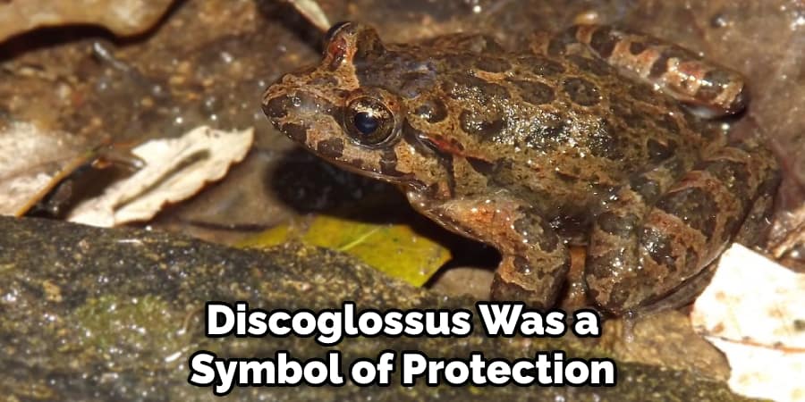  Discoglossus Was a Symbol of Protection and Strength