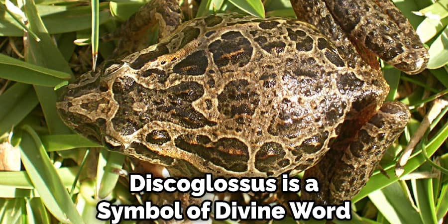 Discoglossus is a Symbol of Divine Word 