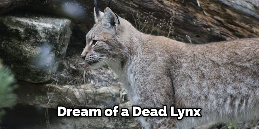 Dream of a Dead Lynx