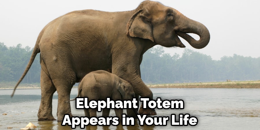 Elephant Totem Appears in Your Life
