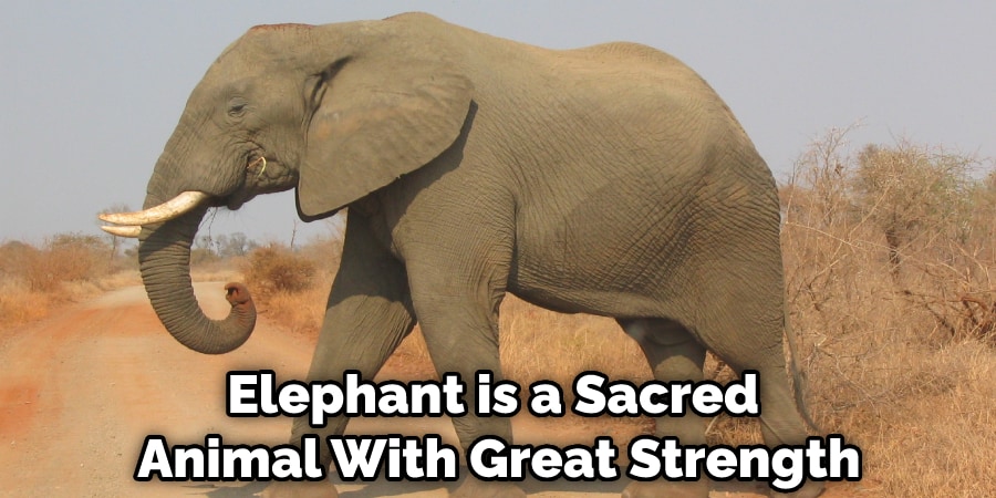 Elephant is a Sacred Animal With Great Strength