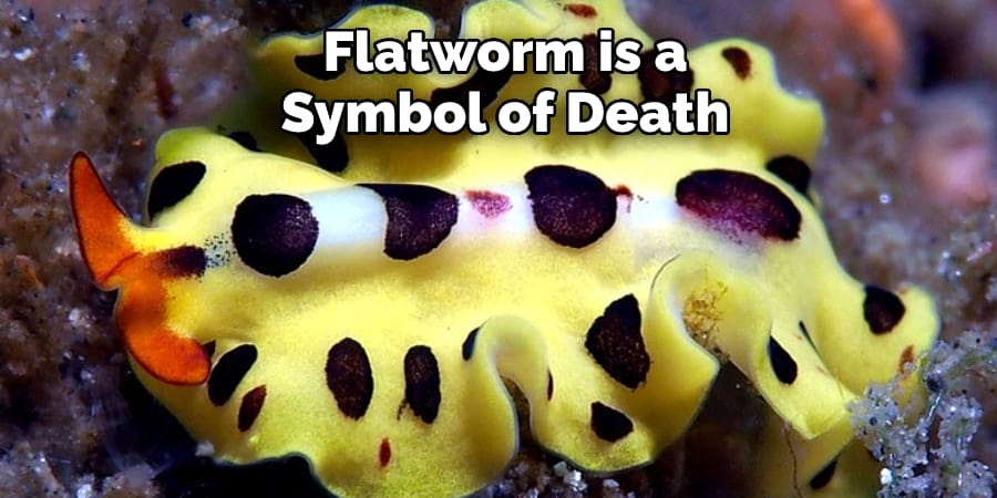 Flatworm is a Symbol of Death