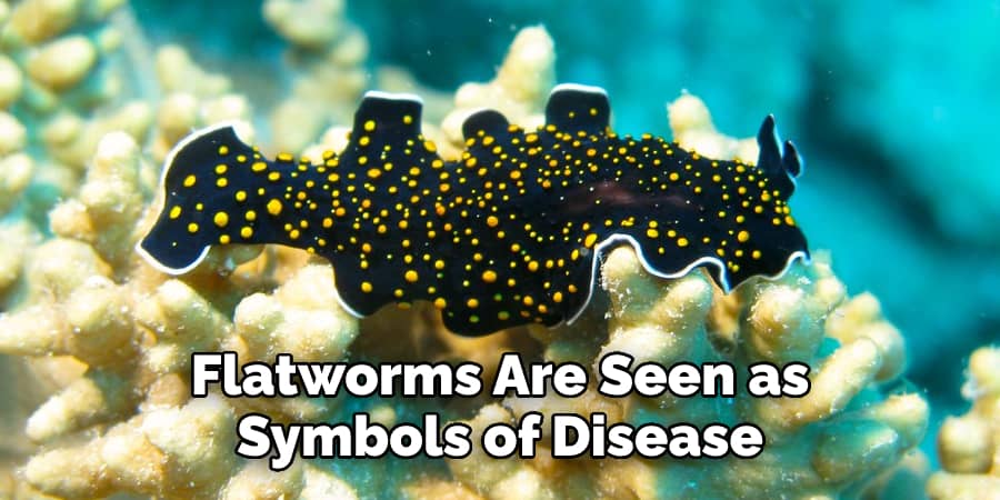 Flatworms Are Seen as  Symbols of Disease 