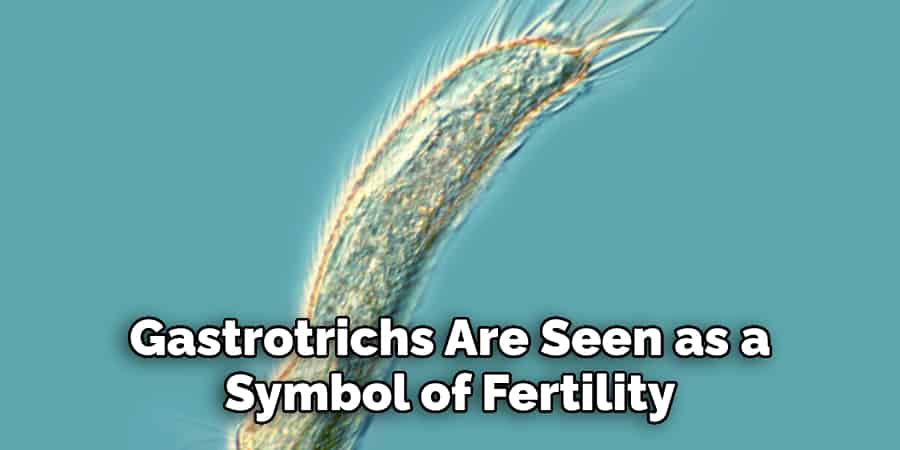 Gastrotrichs Are Seen as a  Symbol of Fertility  