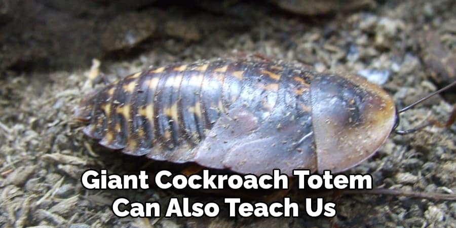 Giant Cockroach Totem Can Also Teach Us 