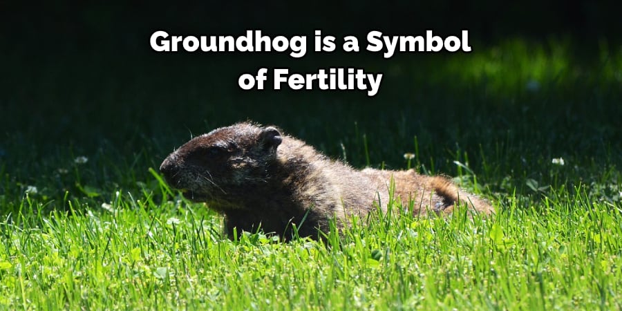 Groundhog is a Symbol of Fertility