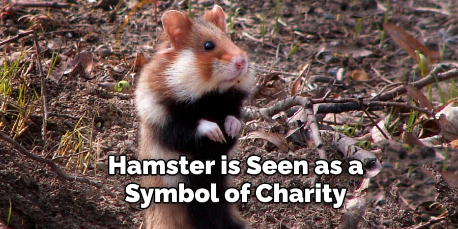 Hamster is Seen as a  Symbol of Charity