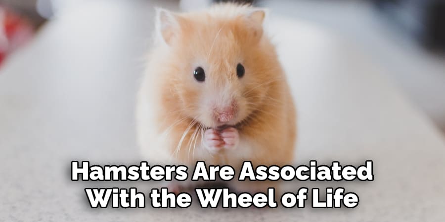 Hamsters Are Associated  With the Wheel of Life