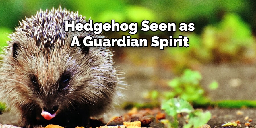 Hedgehog Seen as  A Guardian Spirit