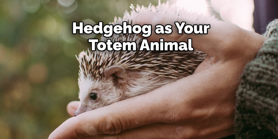 Hedgehog as Your  Totem Animal