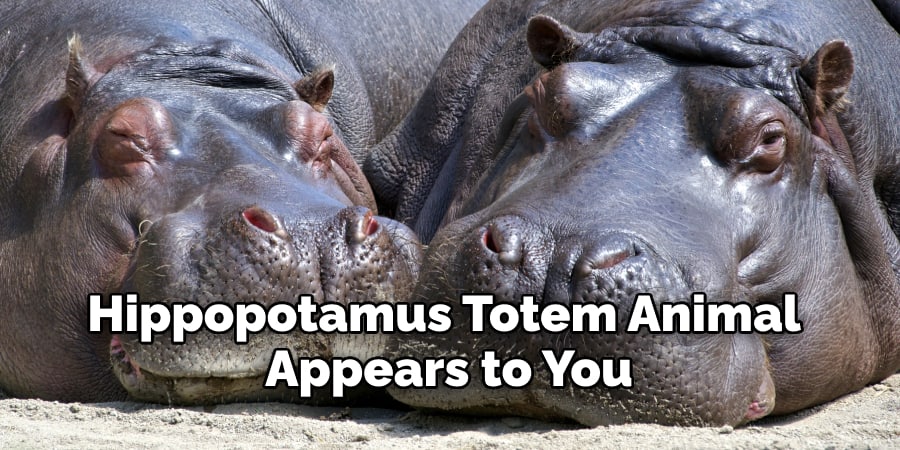 Hippopotamus Totem Animal  Appears to You