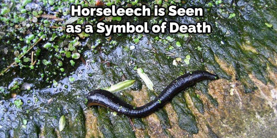 Horseleech is Seen as a Symbol of Death