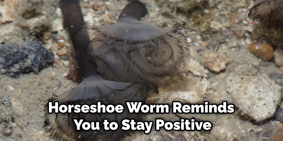 Horseshoe Worm Reminds You to Stay Positive